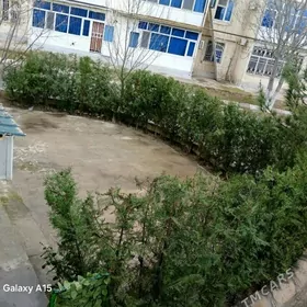 Satlyk Cewvenka koce 3/1.2-Kom