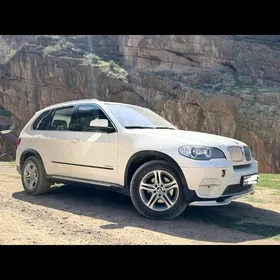BMW X5 2010