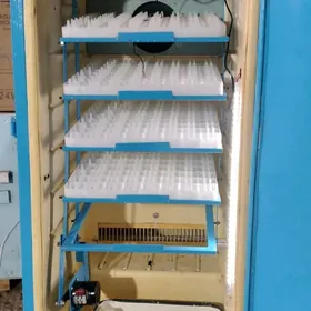 inkubator инкубатор