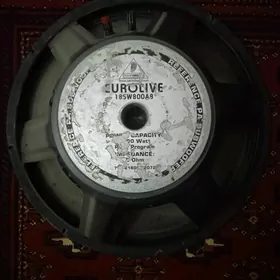 Niski dinamik evropower