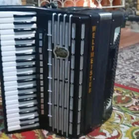 АККОРДИОН   S5.