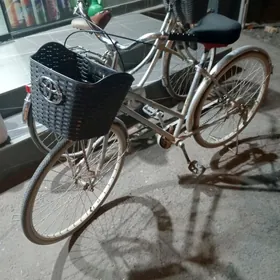 26 lyk 26 LYK WELSEPED