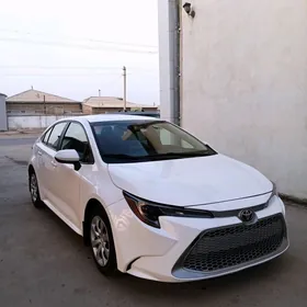 Toyota Corolla 2021