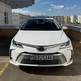 Toyota Corolla 2023