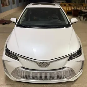 Toyota Corolla 2024