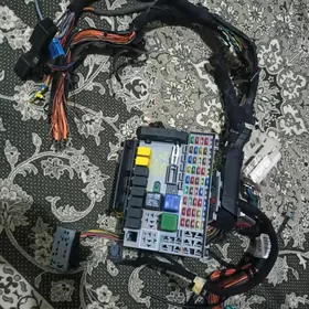 Zafira icki toklary Зафира ток