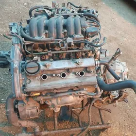 maksima  Karopga,Mator