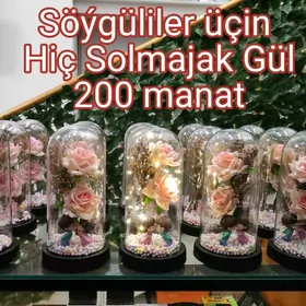 Söýgüliler üçin Sowgat