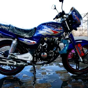 Fekon FK200-14G 2026