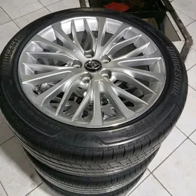 18 lik diska pakriska