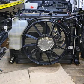 Stinger Orginal Radiator mordo