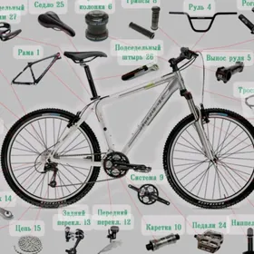 tigir zapjas dastawka