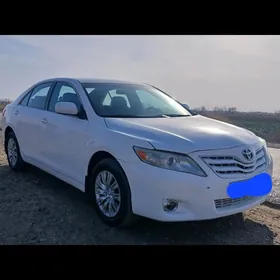 Toyota Camry 2010