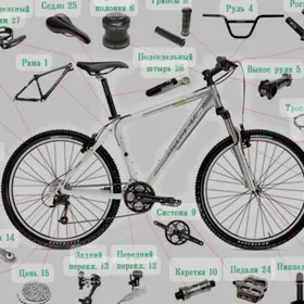 tigir ussa Hyzmatymyz