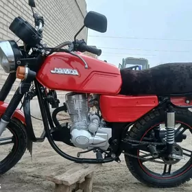 Jawa 300 2016