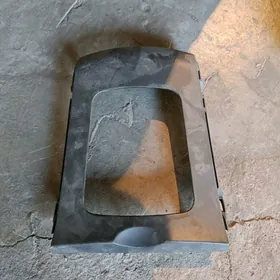 Ricagyn dasky plasmasy