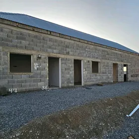 Baherden satlyk jay yyly suw