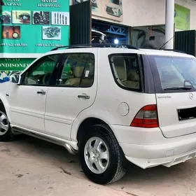 ML w163 dugasy padnoska