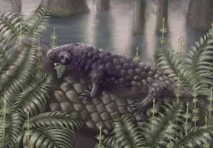 Найден череп древнего четвероногого: возможно это первое травоядное на суше