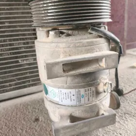 Kandiosaner  Shacman