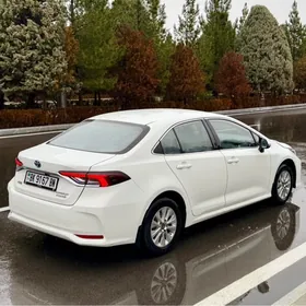 Toyota Corolla Hybrid 2021