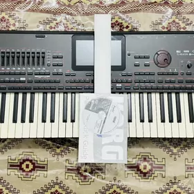 KORG PA4X