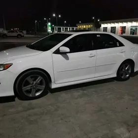 Toyota Camry 2013