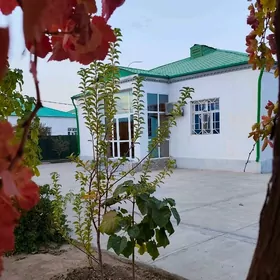 Twze zaman Plan Jay 1 tapgry