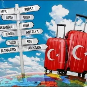 Amatly wiza hyzmatlary