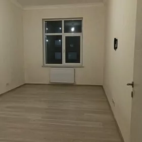 Arenda jay Gurtly Elitka