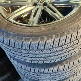 20lik komplekt diska pokryska