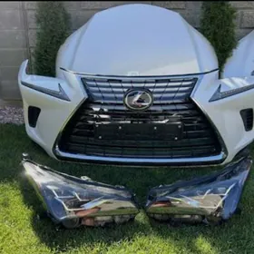 Zakaz dubai awto śaylary