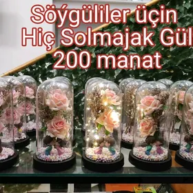 Söýgüliler üçin Gül