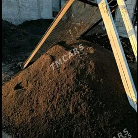 HALTALY DERS MITI SEMENT PULPA