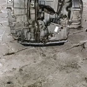 Awalon karopga  99 2001