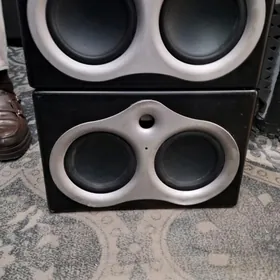 M audio Kalonka Studio