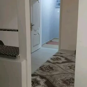 Buzmeyin gres arenda jay