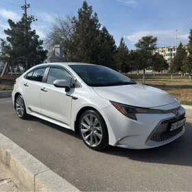 Toyota Corolla 2021
