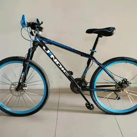 Sport Tigir 100 kg göterýär️