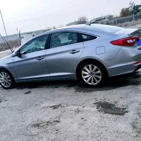 дисга пакрышг