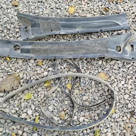 Авалон пласмас