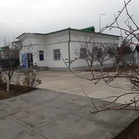 Tàze Zaman plan jaý