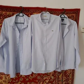 Рубашки LACOSTE