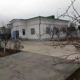 Tàze Zaman plan jaý