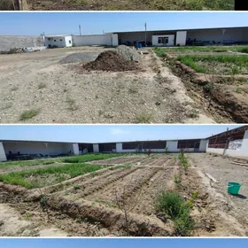 towuk juyje ferma mal yatak