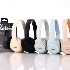 arzanladyş nauşnikler