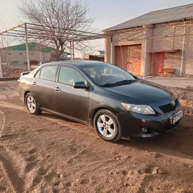 Toyota Corolla 2010
