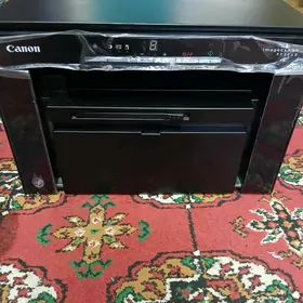 Canon3010