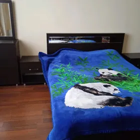 мебель и интерьер