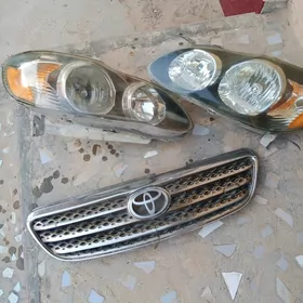 fara carolla karolla